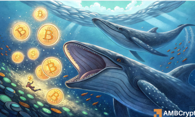 三马哥期货指标：比特币持仓量+OI组合预测变盘准确率